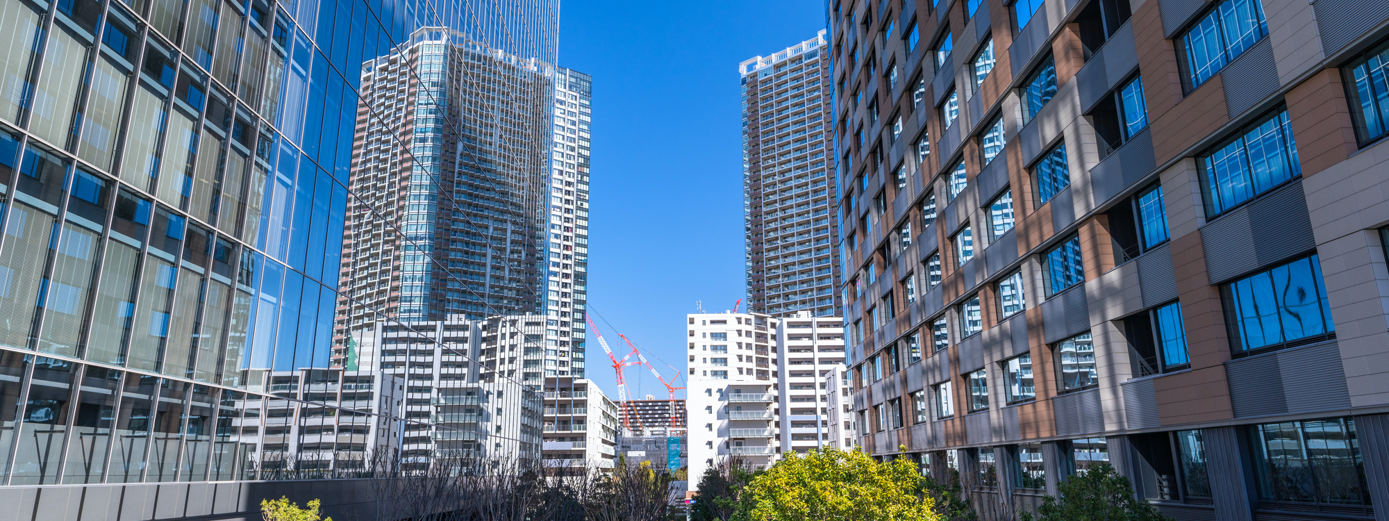 マンション 賃貸 タワー 大阪